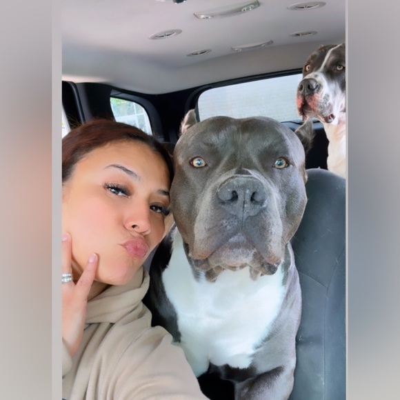 tapatia_ar